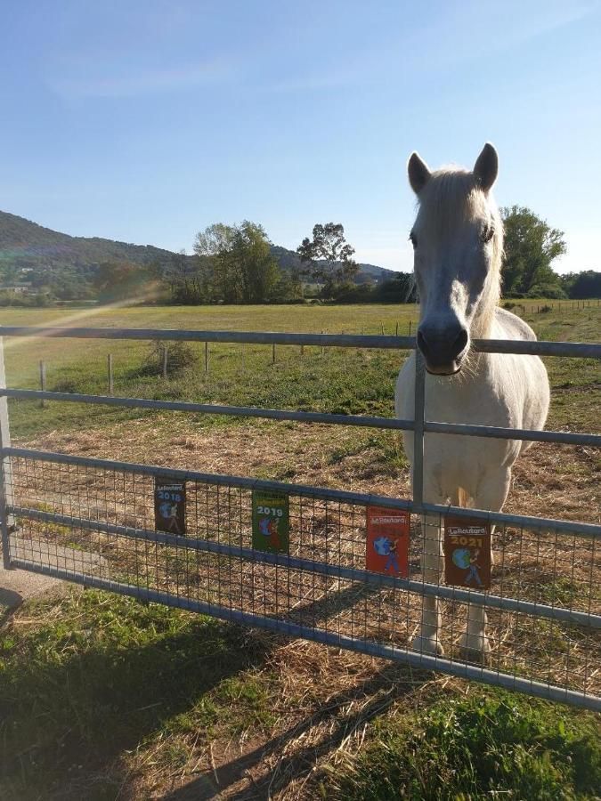 カルジェーズ Ferme De Chiuniヴィラ エクステリア 写真